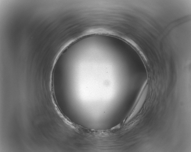 X0000052940815200508050854