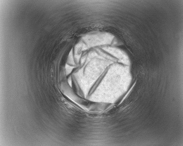 X0000052940818200508050853