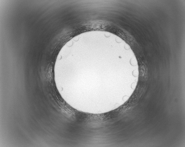 X0000052940820200508050853