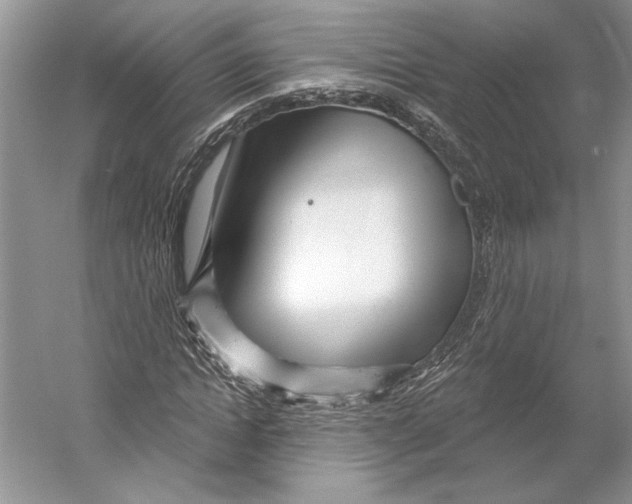 X0000052940822200508050853