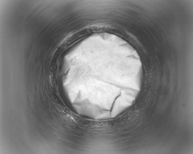 X0000052940823200508050853