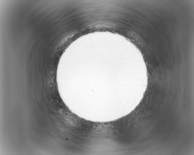 X0000052940824200508050853