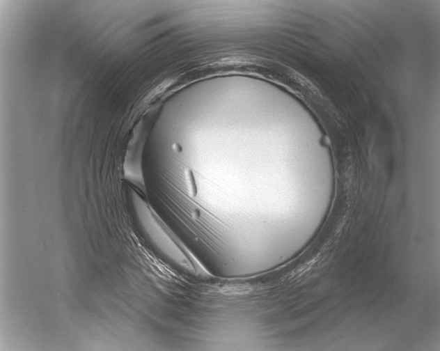 X0000052940825200508050853