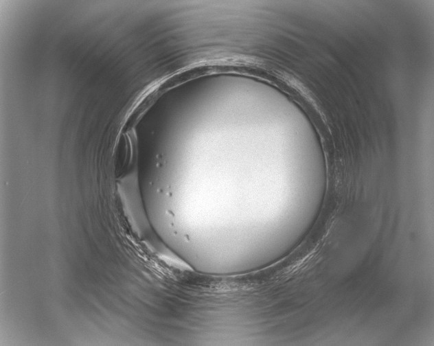 X0000052940829200508050853