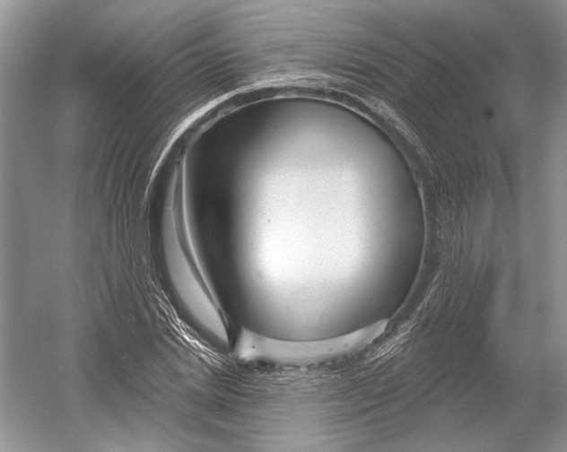 X0000052940830200508050853