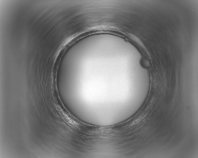 X0000052940831200508050853