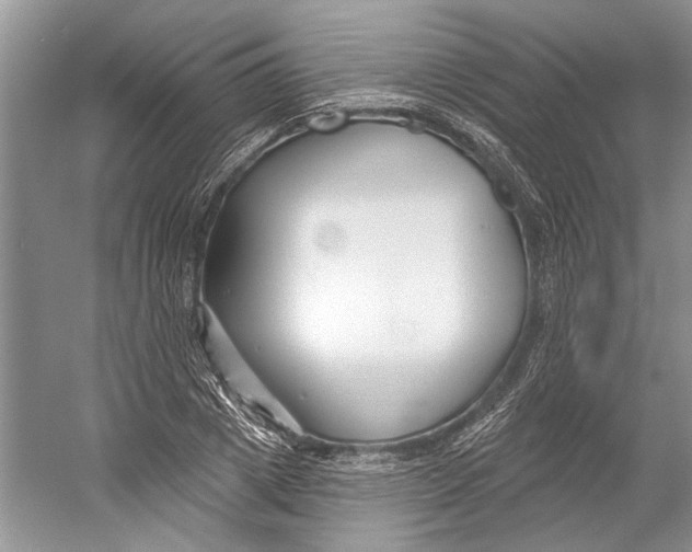 X0000052940833200508050853