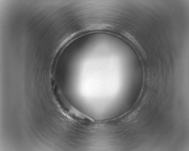 X0000052940834200508050853