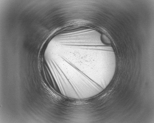 X0000052940835200508050853