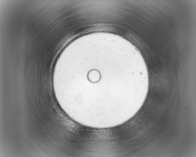 X0000052940836200508050853