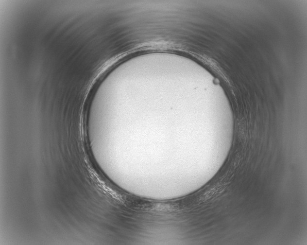 X0000052940839200508050853