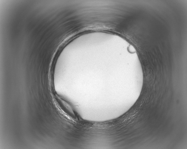 X0000052940840200508050853