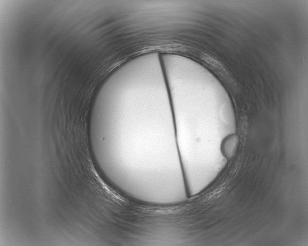 X0000052940841200508050853