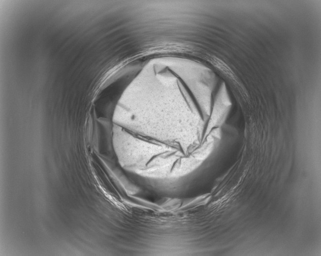 X0000052940842200508050853