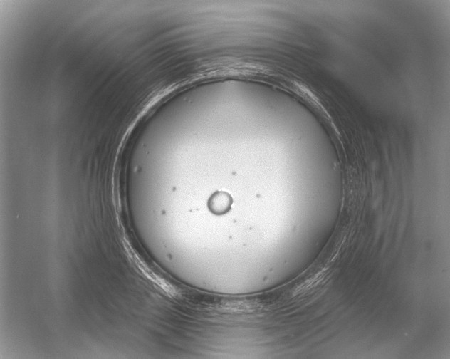 X0000052940843200508050853