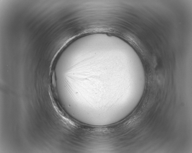 X0000052940844200508050853