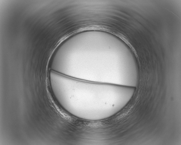 X0000052940845200508050853