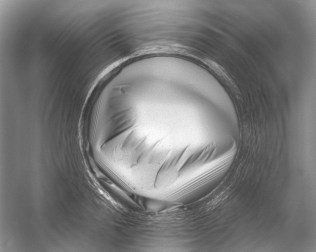 X0000052940846200508050854