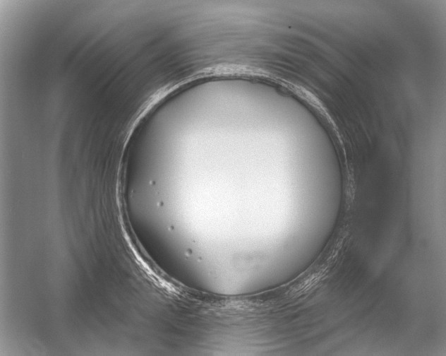 X0000052940847200508050854