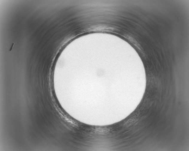 X0000052940848200508050854