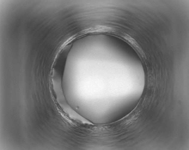 X0000052940850200508050854