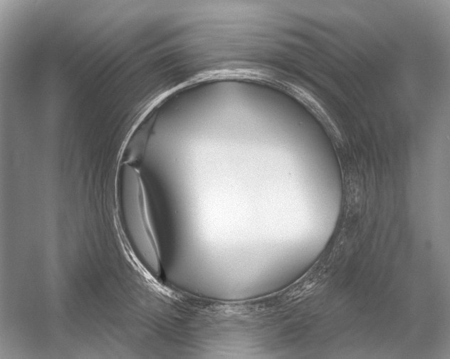 X0000052940852200508050854