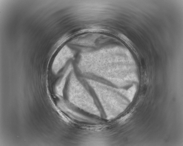 X0000052940853200508050854