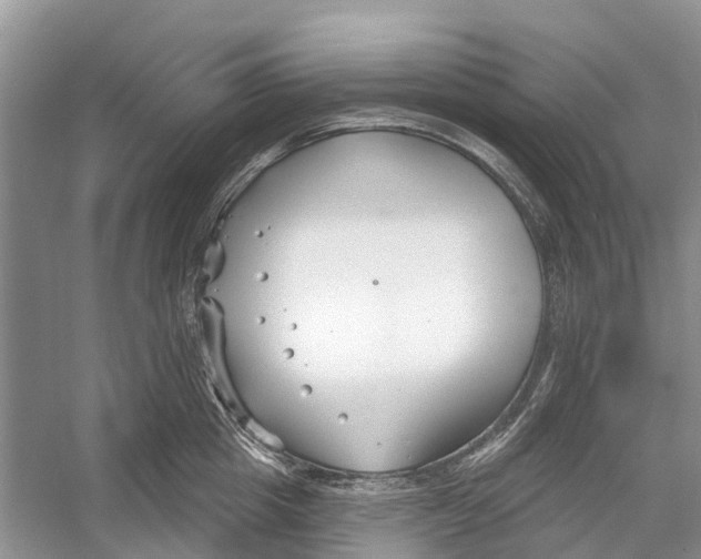 X0000052940857200508050854