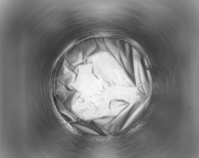 X0000052940859200508050854