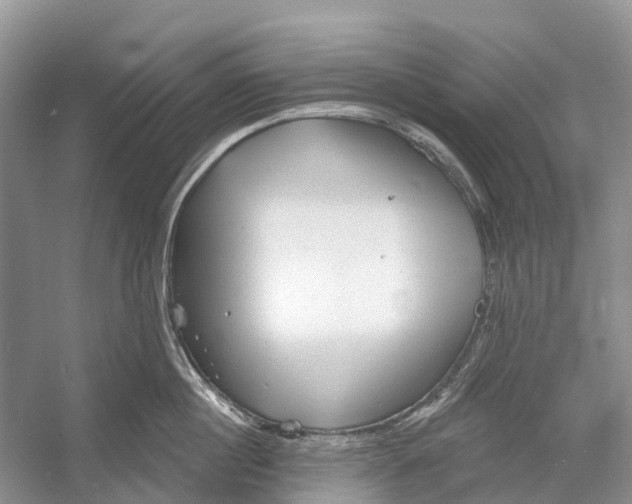 X0000052940860200508050854