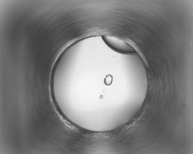 X0000052940861200508050854