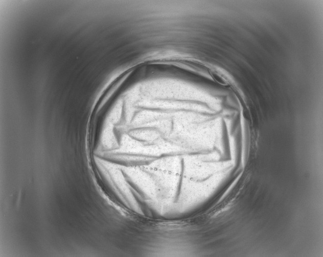 X0000052940863200508050854