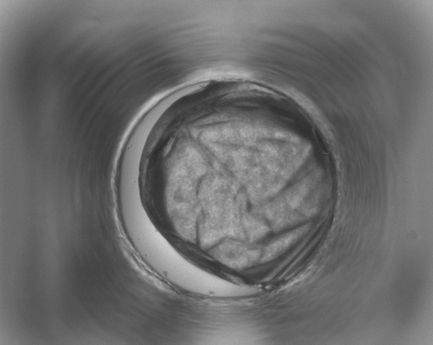 X0000052940864200508050854