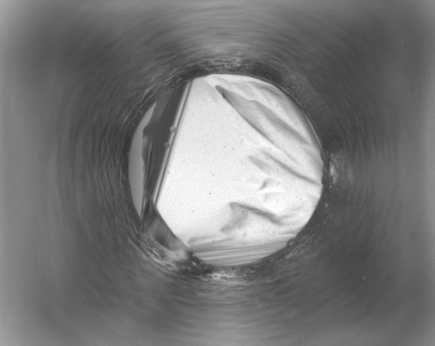 X0000052940867200508050853