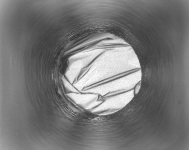 X0000052940868200508050853