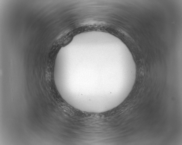 X0000052940869200508050853