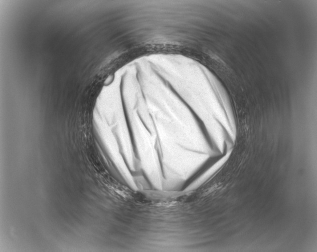 X0000052940870200508050853