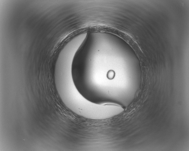 X0000052940871200508050853