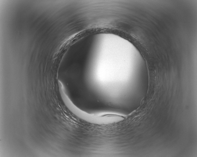 X0000052940872200508050853