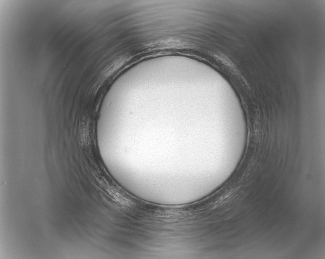 X0000052940873200508050853