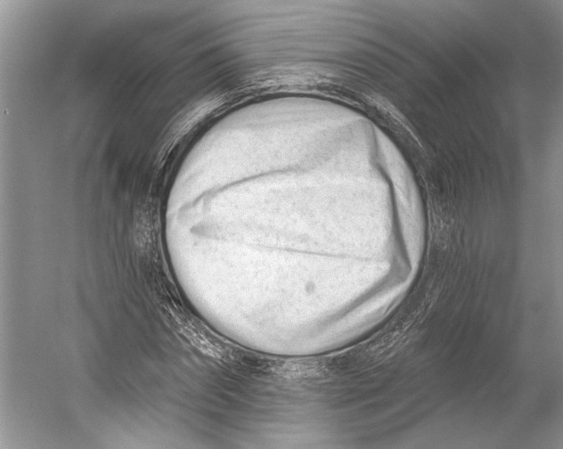 X0000052940874200508050853