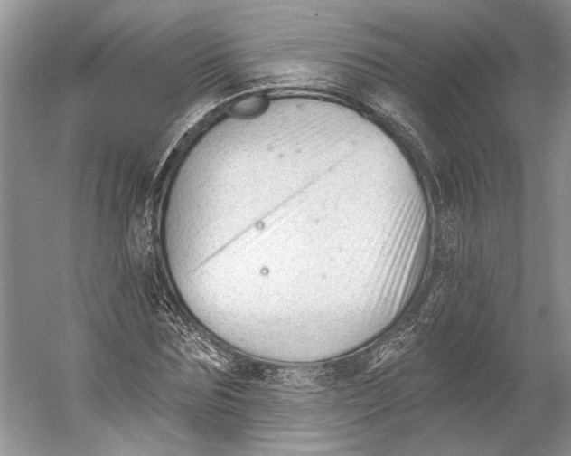 X0000052940875200508050853