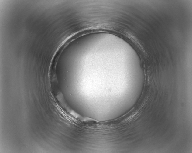 X0000052940876200508050853