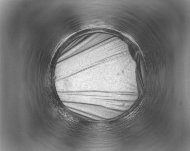 X0000052940879200508050853