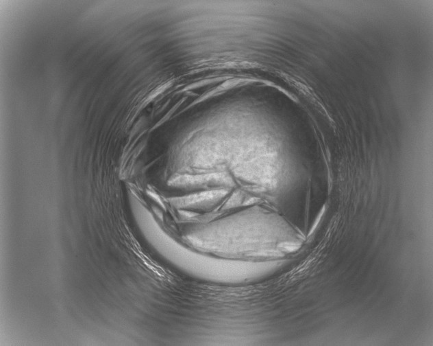 X0000052940881200508050853