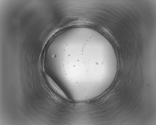 X0000052940883200508050853