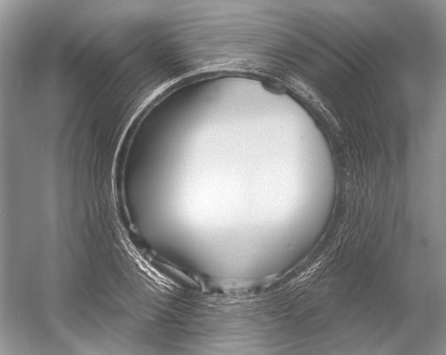 X0000052940884200508050853