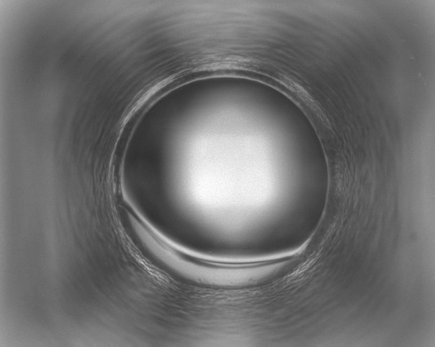 X0000052940885200508050853