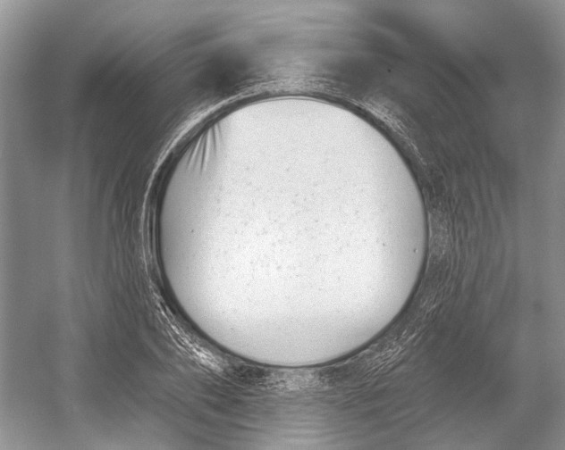 X0000052940886200508050853