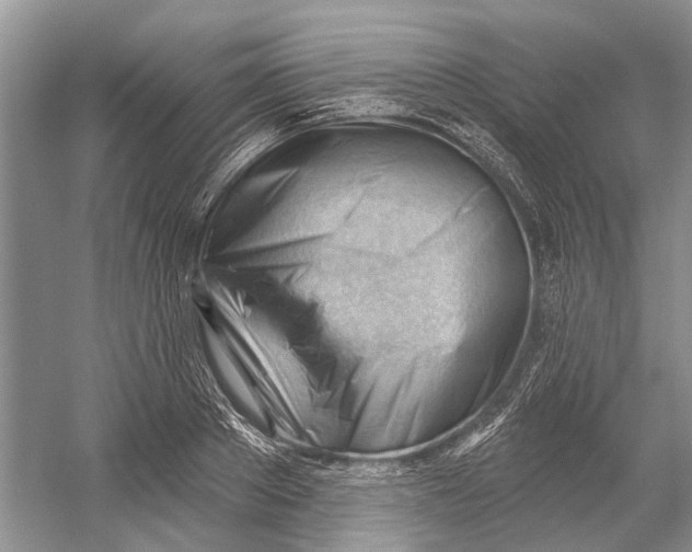 X0000052940889200508050853